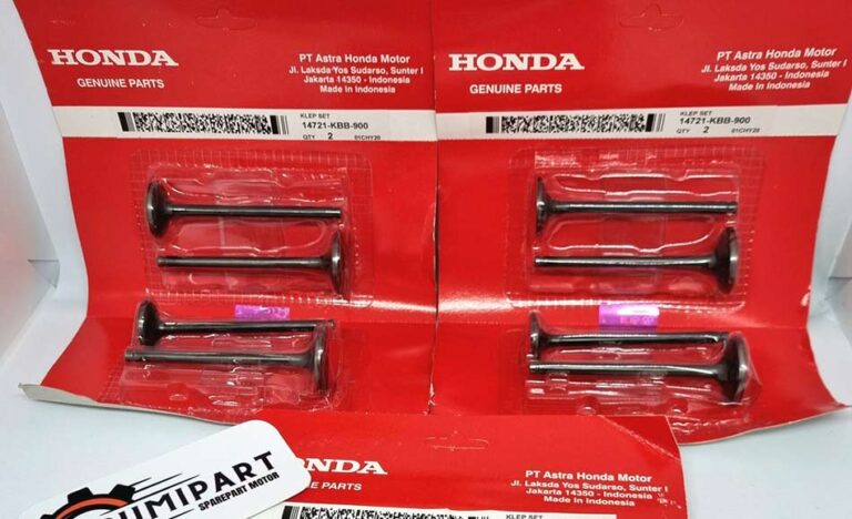 Perbedaan Klep in dan ex